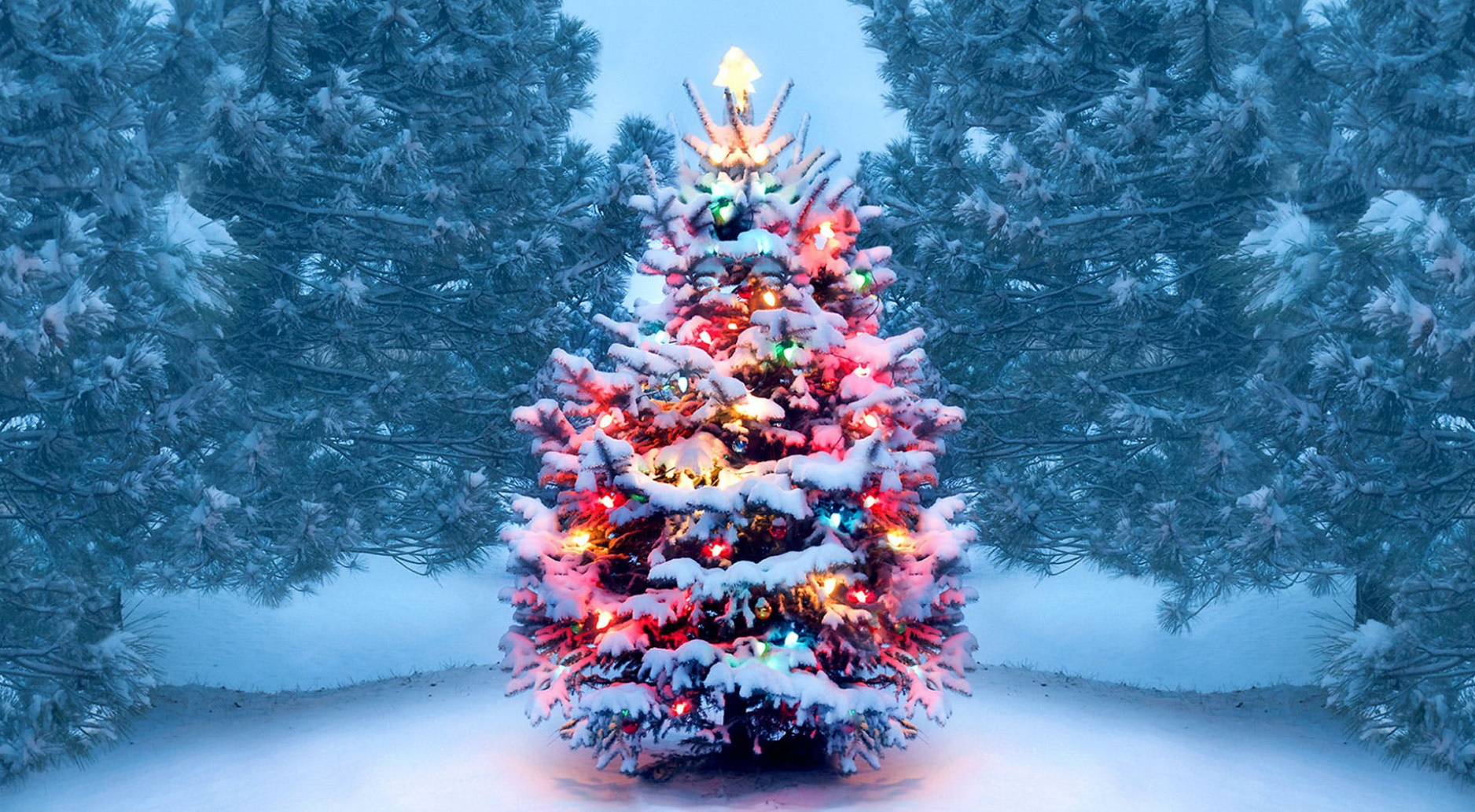 Christmas Poems - Merry Christmas Popular Poems & Rhymes for Christmas ...
