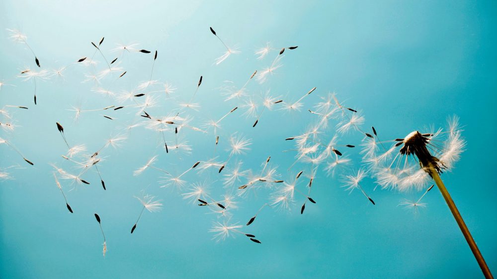 She Let Go Poem • 1 Love Poems