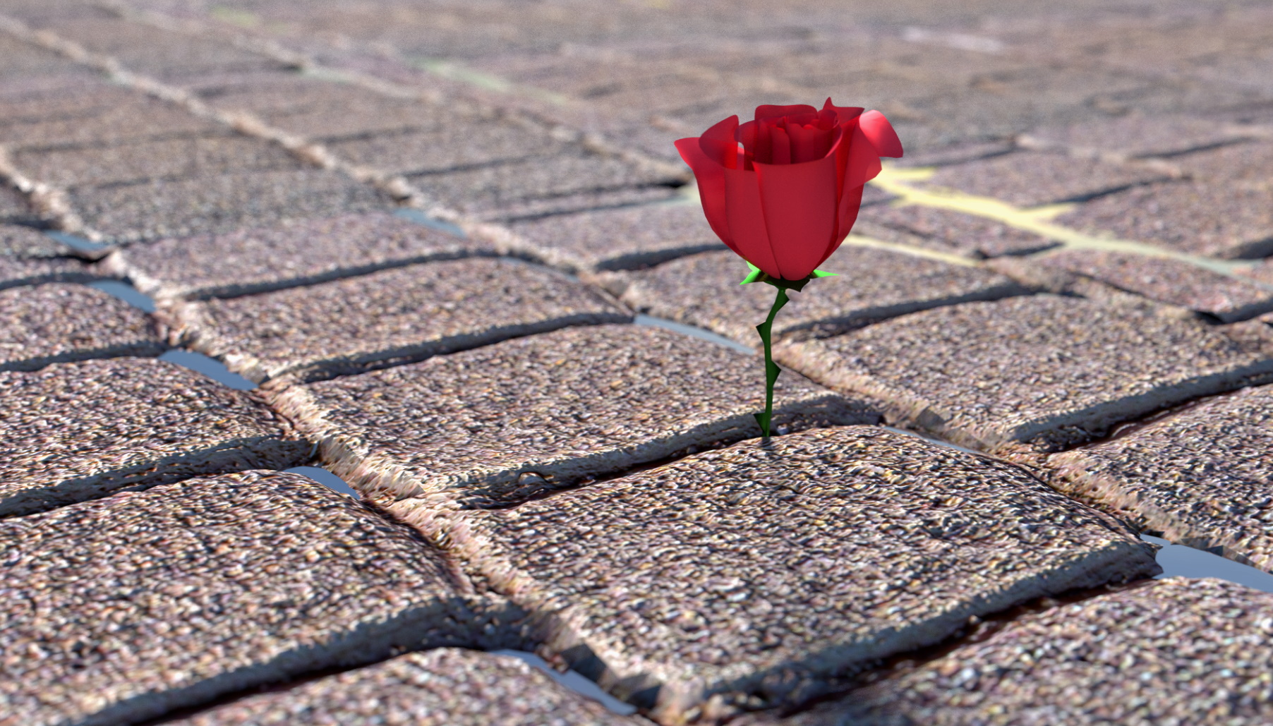 Rose That Grew From Concrete • 1 Love Poems